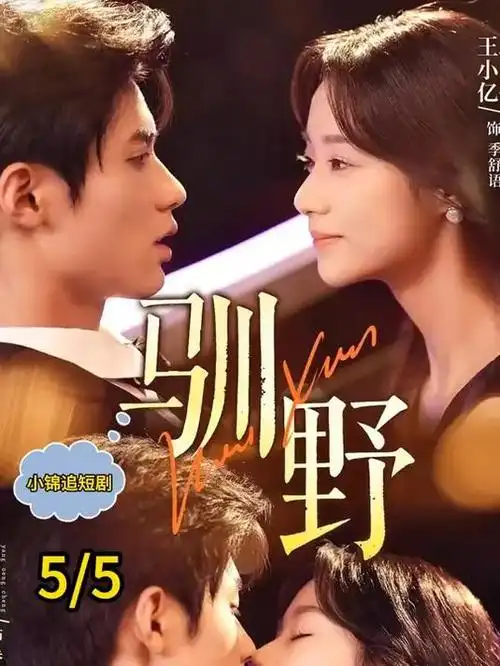 琥珀之城 韩剧全集免费在线观看